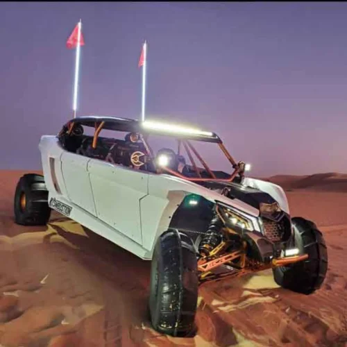 CAN-AM X3 “Max” Body kit. - Image 5
